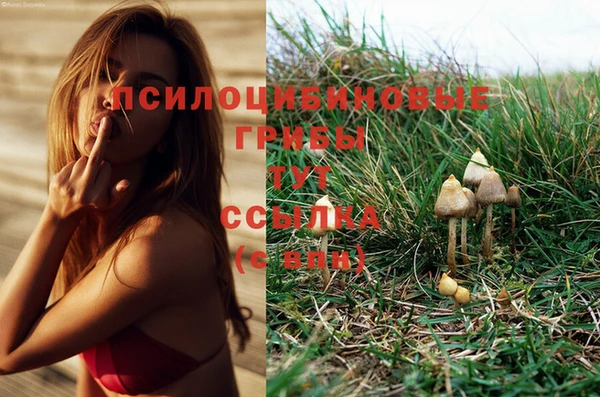 первитин Михайлов