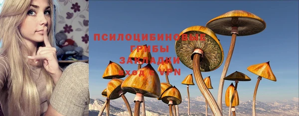 соль ск Михайловск